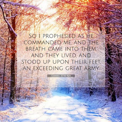 Picture 07 - Ezekiel 37:10 KJV - So I prophesied as he commanded me, and the - Bible Verse Picture