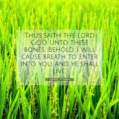 Picture 07 - Ezekiel 37:5 KJV - Thus saith the Lord GOD unto these bones; Behold, - Bible Verse Picture