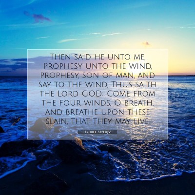 Picture 07 - Ezekiel 37:9 KJV - Then said he unto me, Prophesy unto the wind, - Bible Verse Picture