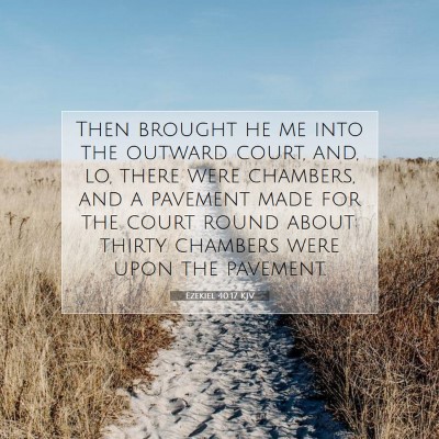 Picture 07 - Ezekiel 40:17 KJV - Then brought he me into the outward court, and, - Bible Verse Picture