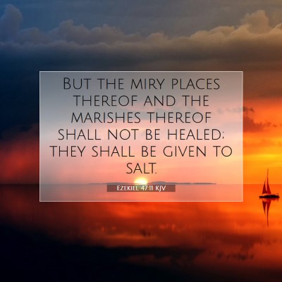 Picture 07 - Ezekiel 47:11 KJV - But the miry places thereof and the marishes - Bible Verse Picture
