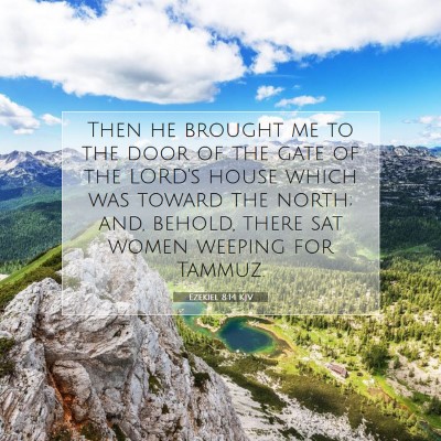 Picture 07 - Ezekiel 8:14 KJV - Then he brought me to the door of the gate of the - Bible Verse Picture