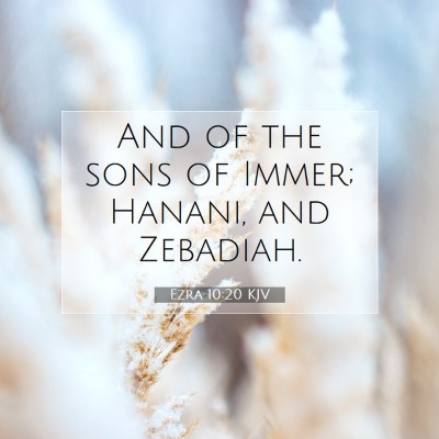 Picture 07 - Ezra 10:20 KJV - And of the sons of Immer; Hanani, and - Bible Verse Picture