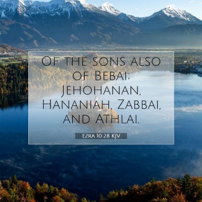 Picture 07 - Ezra 10:28 KJV - Of the sons also of Bebai; Jehohanan, Hananiah, - Bible Verse Picture