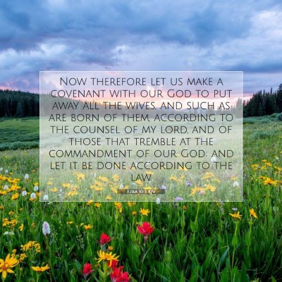 Picture 07 - Ezra 10:3 KJV - Now therefore let us make a covenant with our God - Bible Verse Picture