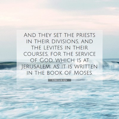 Picture 07 - Ezra 6:18 KJV - And they set the priests in their divisions, and - Bible Verse Picture