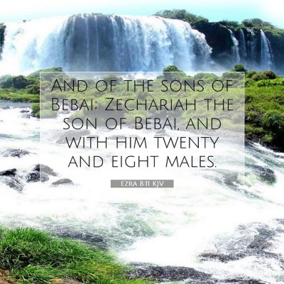Picture 07 - Ezra 8:11 KJV - And of the sons of Bebai; Zechariah the son of - Bible Verse Picture