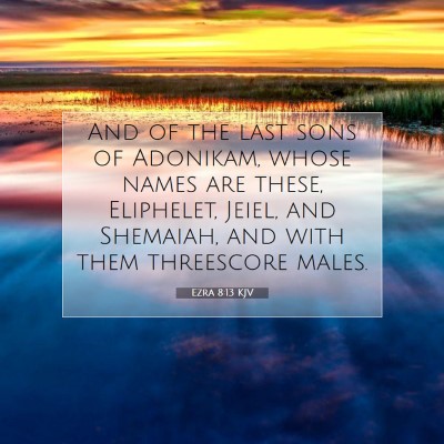 Picture 07 - Ezra 8:13 KJV - And of the last sons of Adonikam, whose names are - Bible Verse Picture