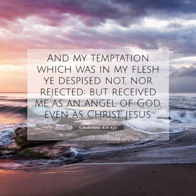 Picture 07 - Galatians 4:14 KJV - And my temptation which was in my flesh ye - Bible Verse Picture