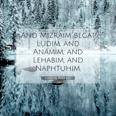 Picture 07 - Genesis 10:13 KJV - And Mizraim begat Ludim, and Anamim, and Lehabim, - Bible Verse Picture