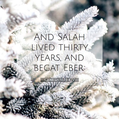 Picture 07 - Genesis 11:14 KJV - And Salah lived thirty years, and begat - Bible Verse Picture