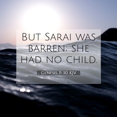 Picture 07 - Genesis 11:30 KJV - But Sarai was barren; she had no - Bible Verse Picture