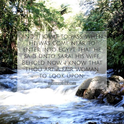Picture 07 - Genesis 12:11 KJV - And it came to pass, when he was come near to - Bible Verse Picture