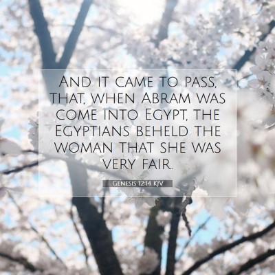 Picture 07 - Genesis 12:14 KJV - And it came to pass, that, when Abram was come - Bible Verse Picture
