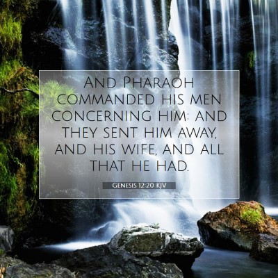 Picture 07 - Genesis 12:20 KJV - And Pharaoh commanded his men concerning him: and - Bible Verse Picture