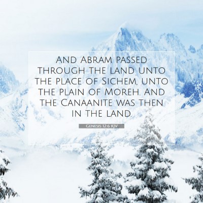 Picture 07 - Genesis 12:6 KJV - And Abram passed through the land unto the place - Bible Verse Picture