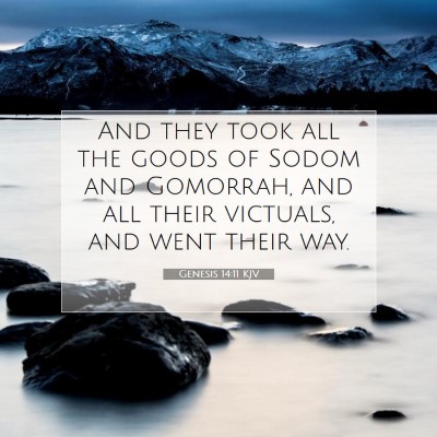 Picture 07 - Genesis 14:11 KJV - And they took all the goods of Sodom and - Bible Verse Picture