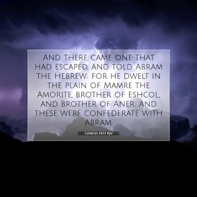 Picture 07 - Genesis 14:13 KJV - And there came one that had escaped, and told - Bible Verse Picture
