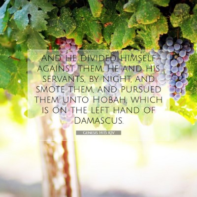 Picture 07 - Genesis 14:15 KJV - And he divided himself against them, he and his - Bible Verse Picture