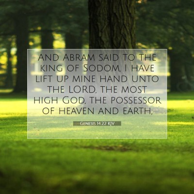 Picture 07 - Genesis 14:22 KJV - And Abram said to the king of Sodom, I have lift - Bible Verse Picture