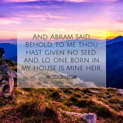 Picture 07 - Genesis 15:3 KJV - And Abram said, Behold, to me thou hast given no - Bible Verse Picture
