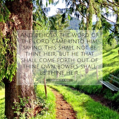 Picture 07 - Genesis 15:4 KJV - And, behold, the word of the LORD came unto him, - Bible Verse Picture