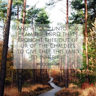 Picture 07 - Genesis 15:7 KJV - And he said unto him, I am the LORD that brought - Bible Verse Picture