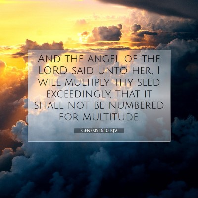 Picture 07 - Genesis 16:10 KJV - And the angel of the LORD said unto her, I will - Bible Verse Picture