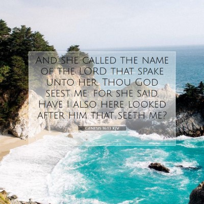 Picture 07 - Genesis 16:13 KJV - And she called the name of the LORD that spake - Bible Verse Picture