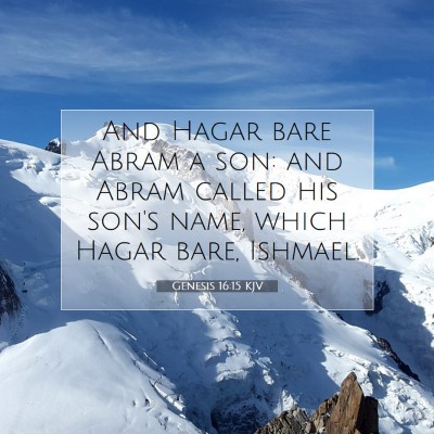 Picture 07 - Genesis 16:15 KJV - And Hagar bare Abram a son: and Abram called his - Bible Verse Picture