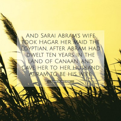 Picture 07 - Genesis 16:3 KJV - And Sarai Abram's wife took Hagar her maid the - Bible Verse Picture