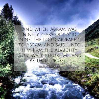 Picture 07 - Genesis 17:1 KJV - And when Abram was ninety years old and nine, the - Bible Verse Picture