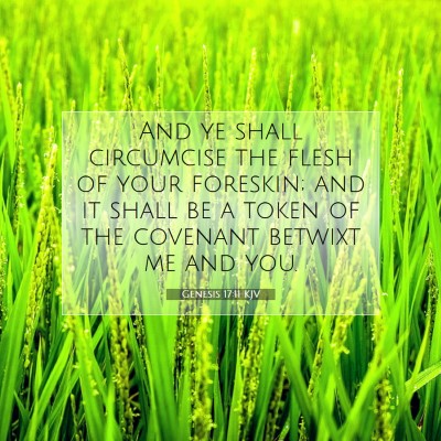 Picture 07 - Genesis 17:11 KJV - And ye shall circumcise the flesh of your - Bible Verse Picture