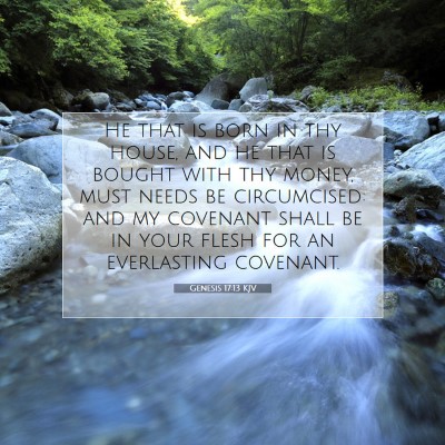 Picture 07 - Genesis 17:13 KJV - He that is born in thy house, and he that is - Bible Verse Picture