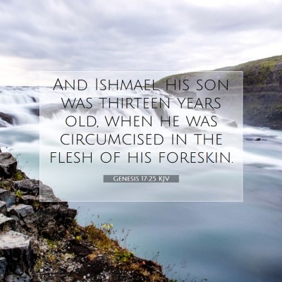 Picture 07 - Genesis 17:25 KJV - And Ishmael his son was thirteen years old, when - Bible Verse Picture