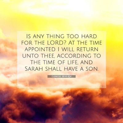 Picture 07 - Genesis 18:14 KJV - Is any thing too hard for the LORD? At the time - Bible Verse Picture