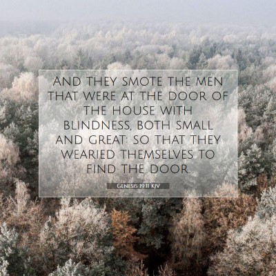 Picture 07 - Genesis 19:11 KJV - And they smote the men that were at the door of - Bible Verse Picture