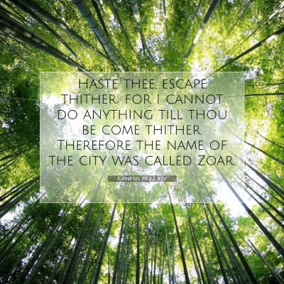 Picture 07 - Genesis 19:22 KJV - Haste thee, escape thither; for I cannot do - Bible Verse Picture