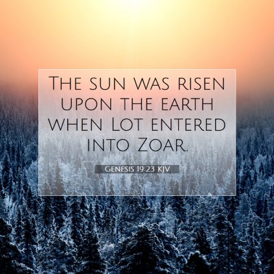 Picture 07 - Genesis 19:23 KJV - The sun was risen upon the earth when Lot entered - Bible Verse Picture