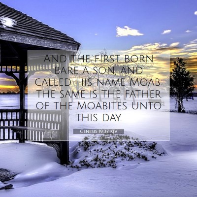 Picture 07 - Genesis 19:37 KJV - And the first born bare a son, and called his - Bible Verse Picture