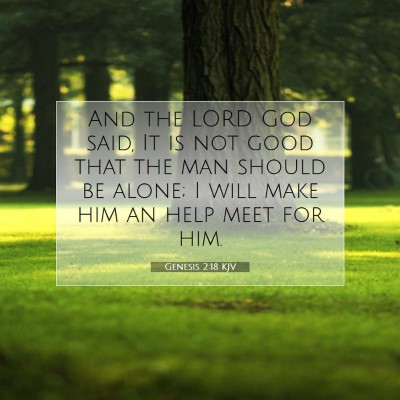 Picture 07 - Genesis 2:18 KJV - And the LORD God said, It is not good that the - Bible Verse Picture