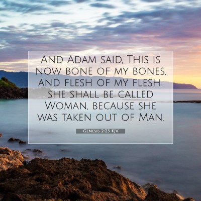 Picture 07 - Genesis 2:23 KJV - And Adam said, This is now bone of my bones, and - Bible Verse Picture