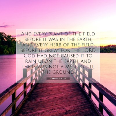 Picture 07 - Genesis 2:5 KJV - And every plant of the field before it was in the - Bible Verse Picture