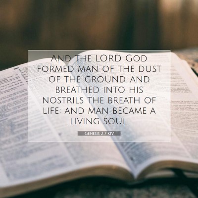 Picture 07 - Genesis 2:7 KJV - And the LORD God formed man of the dust of the - Bible Verse Picture