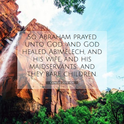 Picture 07 - Genesis 20:17 KJV - So Abraham prayed unto God: and God healed - Bible Verse Picture