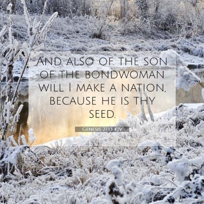 Picture 07 - Genesis 21:13 KJV - And also of the son of the bondwoman will I make - Bible Verse Picture
