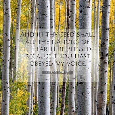 Picture 07 - Genesis 22:18 KJV - And in thy seed shall all the nations of the - Bible Verse Picture