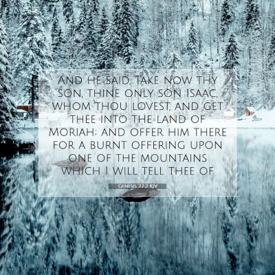Picture 07 - Genesis 22:2 KJV - And he said, Take now thy son, thine only son - Bible Verse Picture