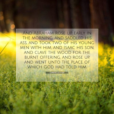 Picture 07 - Genesis 22:3 KJV - And Abraham rose up early in the morning, and - Bible Verse Picture