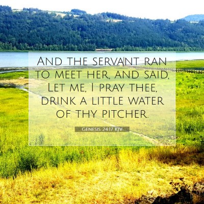 Picture 07 - Genesis 24:17 KJV - And the servant ran to meet her, and said, Let - Bible Verse Picture